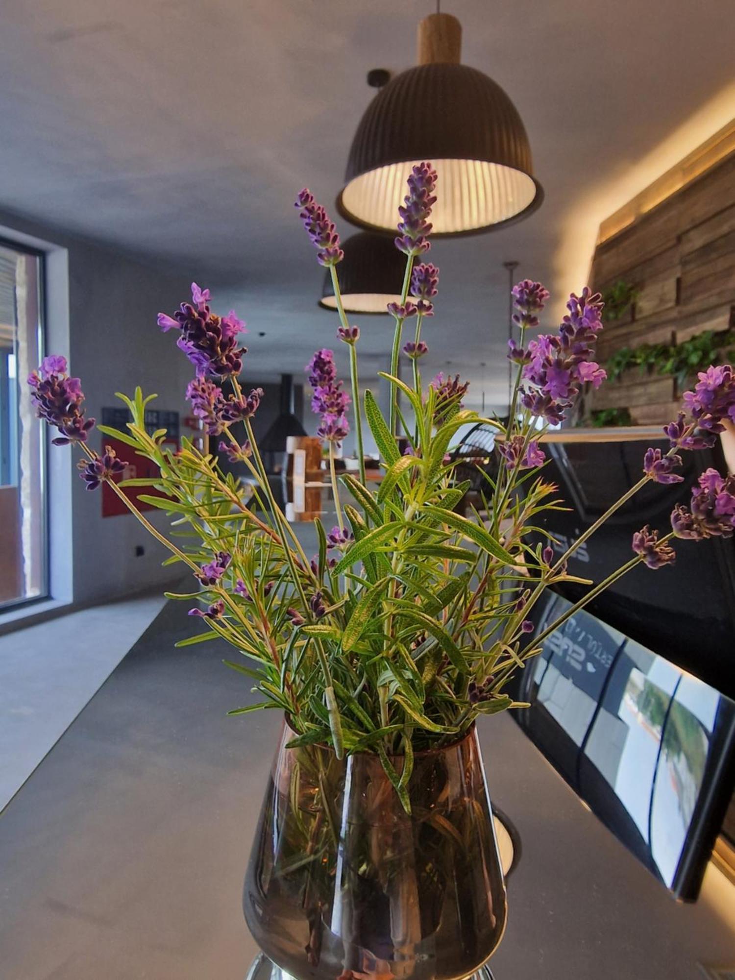 Puro Dao Hotel & Spa Nelas Eksteriør billede