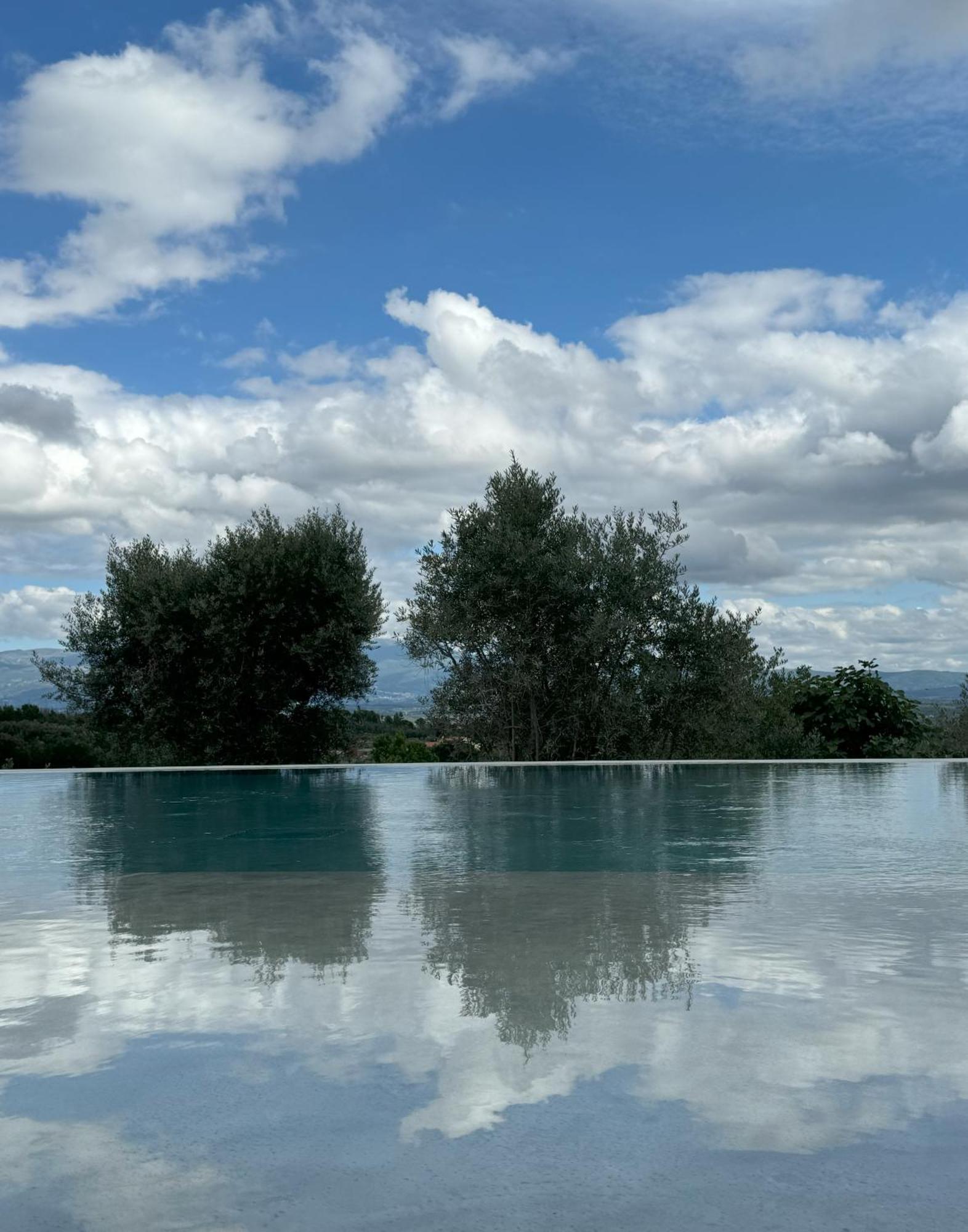 Puro Dao Hotel & Spa Nelas Eksteriør billede